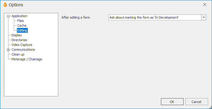 Editing subpage of the Application page on the Options dialog