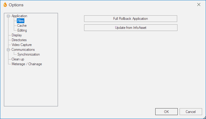 Files subpage of the Application page on the Options dialog